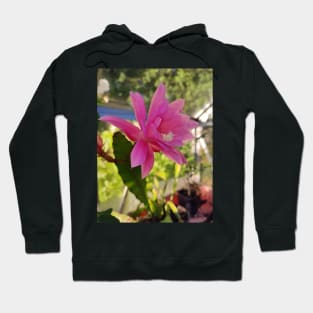 Christmas Cactus Hoodie